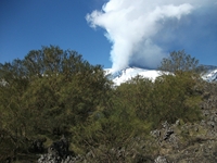 anobello-04032012 128
